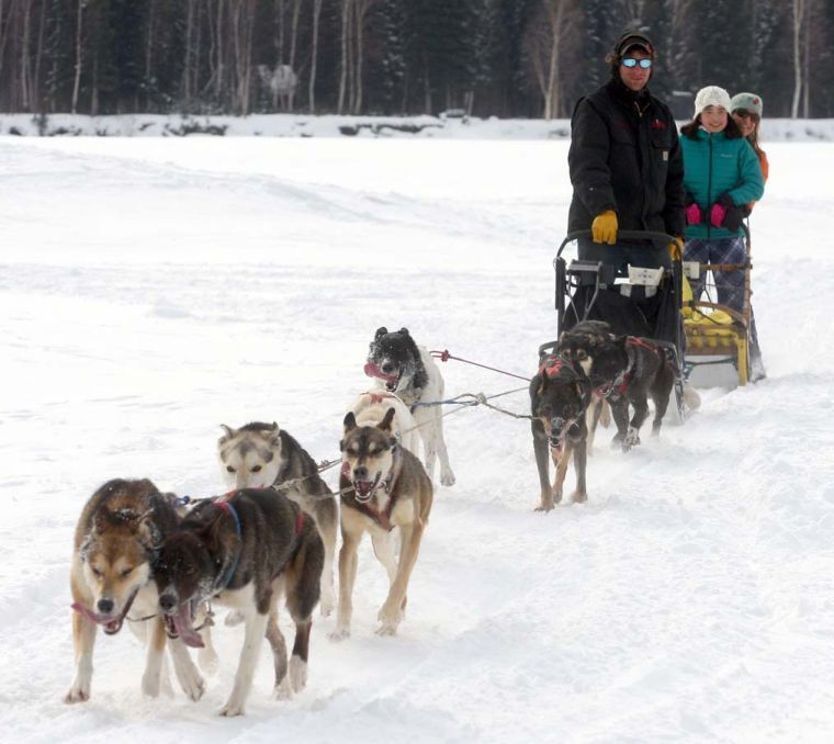Effie Kokrine mushing class
